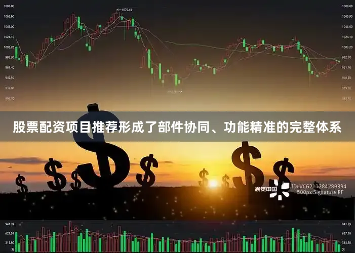 股票配资项目推荐形成了部件协同、功能精准的完整体系